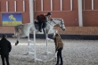 Соревнования по конному спорту "На Кубок Президента Украины" 1-ый этап! В г.Жашкове состоялись. См. видео.
